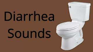 Diarrhea Sound Effect 2 HOURS [upl. by Yetnom716]