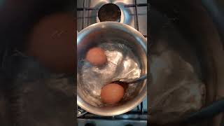 Free range eggs amazing cooking ytshorts ytshort viralvideo [upl. by Pogah]