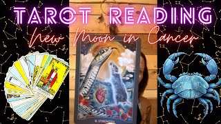 Tarot Reading for Cancer New MoonLunar Cycle amp Punarvasu Nakshatra [upl. by Durno]