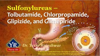 Sulfonylureas  Tolbutamide Chlorpropamide Glipizide amp Glimepiride  YR Pharma Tube [upl. by Gnilhsa]