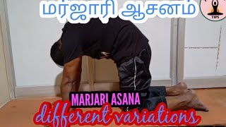 MARJARI ASANA IN TAMIL variations AND THE BENEFITS [upl. by Barnebas]