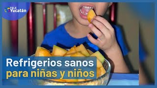 🍞Refrigerios que SON SEGUROS para las niñas y niños💪🏼  TELE Yucatán [upl. by Leiuqeze]