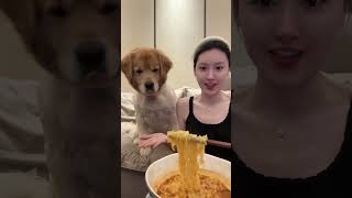 Today we eat Shanxi knifecut noodles When you have a greedy puppy you can curl it up after bo [upl. by Josephson]