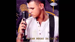 Cvija  Diskoteka ft DJ Shone  Audio 2011 HD [upl. by Aniteb]