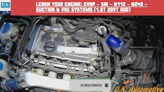 Learn your VW Engine Skoda Octavia RS AUQ EVAP  SAI  N112  N249  SUCTION amp VAC systems [upl. by Cedell]