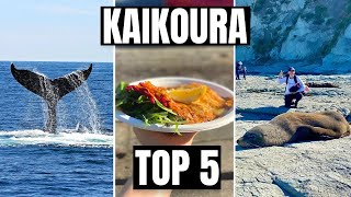 Kaikoura New Zealand  WHAT TO DO in Kaikoura [upl. by Enitsirk]