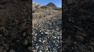 Hunting the ever elusive fairburn agate Soooooo much rock to go through agatehunting fairburn [upl. by Asenav391]