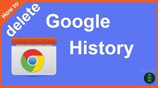 How Do I Permanently Delete My Google History [upl. by Sdlonyer]