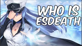 Who Is Esdeath [upl. by Sucramej]