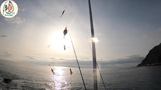 大量の撒き餌と青イソメ1ｋをシモリにぶち込む‼【北海道釣り】【投げ釣り】ナメタガレイババガレイマコガレイ [upl. by Loriner223]