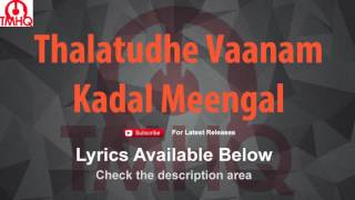 Thalatudhe Vaanam Karaoke with Lyrics Kadal Meengal [upl. by Attennhoj]