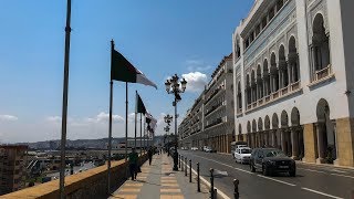 ALGER in 60 SECONDS [upl. by Wappes466]