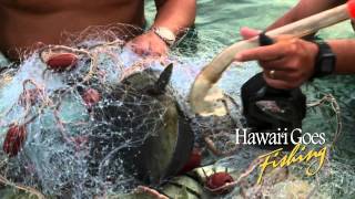 Hawaii Goes Fishing episode HGF308 promo [upl. by Elgar]