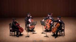 Ennio Morricone  Tema damore per Nata  12CELLOS [upl. by Haiacim]