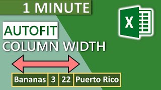 Excel Column Autofit Width 2020  1 MINUTE [upl. by Richmond773]