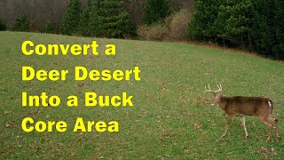 Converting a Hay Field into a Buck Rutting Zone With Switchgrass and Trees [upl. by Llenil]