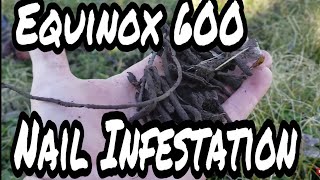 Minelab Equinox 600 First Hunt Nail Infestation [upl. by Meli451]