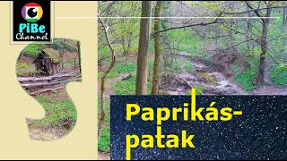 Paprikás patak 2022 [upl. by Eniagrom330]