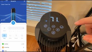 Goveelife Smart Wifi Fan  Oscillating Fan  Super Strong but Quiet Fan  Smart App Schedule Fan [upl. by Ahsille]