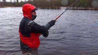 Salmon fly fishing in river Byske  OlojaampOlemistaSFF [upl. by Eenej179]