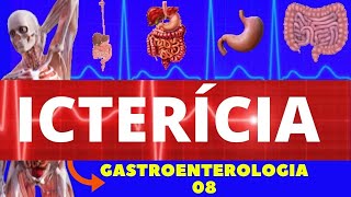 ICTERÍCIA CAUSAS SINTOMAS DIAGNÓSTICO E TRATAMENTO  GASTROENTEROLOGIA [upl. by Cusick]