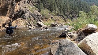 Two Days of Fly Fishing in Colorado on the Big Thompson [upl. by Catlee893]