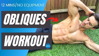 RIPPED OBLIQUES  No equipment  12 minute home workout  CrockFit [upl. by Adnohsar]