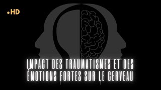 Impact des traumatismes et des émotions fortes sur le cerveau [upl. by Atinele]