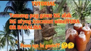 Tamang paraan sa pag gawa NG tubaCOCONUT WINE LAMBANOGBAHALINA O BAHALALAK SA NIYOG TUTORIAL [upl. by Lindsy]