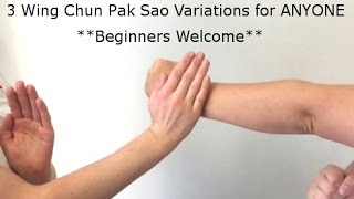 3 Wing Chun Pak Sao Applications [upl. by Reahard]