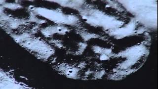 Documental  Mirlo Rojo  Ruinas extraterrestres en la luna [upl. by Siron]