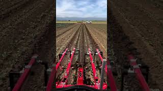 Advance Technology Weeding with Robot weeding jugaad jugaduindia jugad tractor tractorlover [upl. by Tilney]