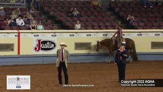 2022 Ford AQHYA World 13ampUnder Western Pleasure [upl. by Notnef286]