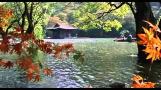 Spring summer fall winter  and spring Movie Trailer 2003 Drama [upl. by Erual789]