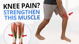 4 Quadriceps VMO Strengthening Exercises for Painful Knees [upl. by Tj]