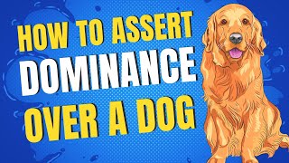 5 Easy Ways To Show amp Assert Dominance Over a Dog  Be Alpha Leader of Your Dog [upl. by Crispa]