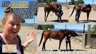 Horse Stretching Routine Develop Topline amp Balance [upl. by Pinkham]