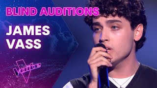 James Vass Performs Adeles Love in The Dark  The Blind Auditions  The Voice Australia [upl. by Jacey672]