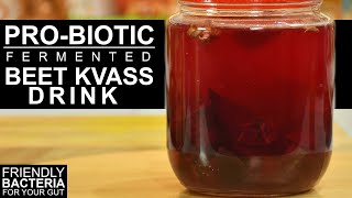 Beet Kvass Drink  Beetroot Kvass  Probiotic Drink  Beetroot Juice ChefHarpalSingh amp Danashree [upl. by Ateuqal]