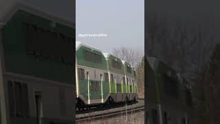 A Fast GO Train at Rodd Avenue [upl. by Jacky602]