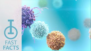 The synergy of LAG3 and other immune checkpoint pathways in cancer [upl. by Dyl]