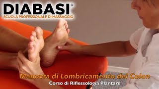 Corso Riflessologia Plantare  DIABASI® Scuola Professionale di Massaggio [upl. by Asim]