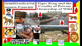 TRUE CRIME CASE PURE EVIL The Zanesville Animal Zoo Massacre 24 Hours Of TOTAL Chaos DEEPDIVE [upl. by Kery]