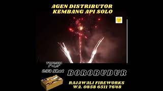 KEMBANG API TAHUN BARU 3 JUTAAN MERIAH KEMBANG API BOROBUDUR 253 SHOT 10quot12quot MERIAH [upl. by Airual]