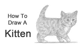 How to Draw a Kitten [upl. by Crim]