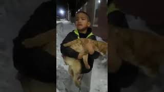 Niño llora por un gato [upl. by Harsho]