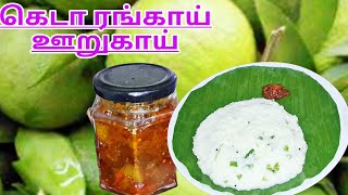 இது போதும் ஒரு தட்டு சாப்பாடு இருந்தாலும் சாப்பிடுவாங்கchitrascooking [upl. by Edwards]