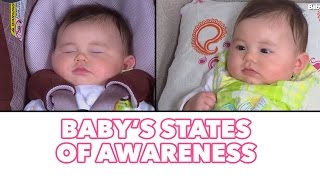 BABYS STATES OF AWARENESS SLEEP amp AWAKE  Baby Nuggets with Danielle Episode 9 [upl. by Tasha]