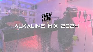 Alkaline Mix 2024 by highlevelsoundcrew507 Dancehall [upl. by Oidualc956]