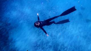 FREEDIVING  Ring Bubble in Bondi Beach Sydney [upl. by Crockett901]